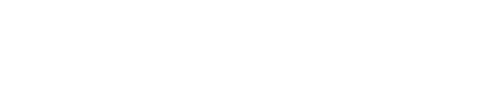 WE R WILD Logo