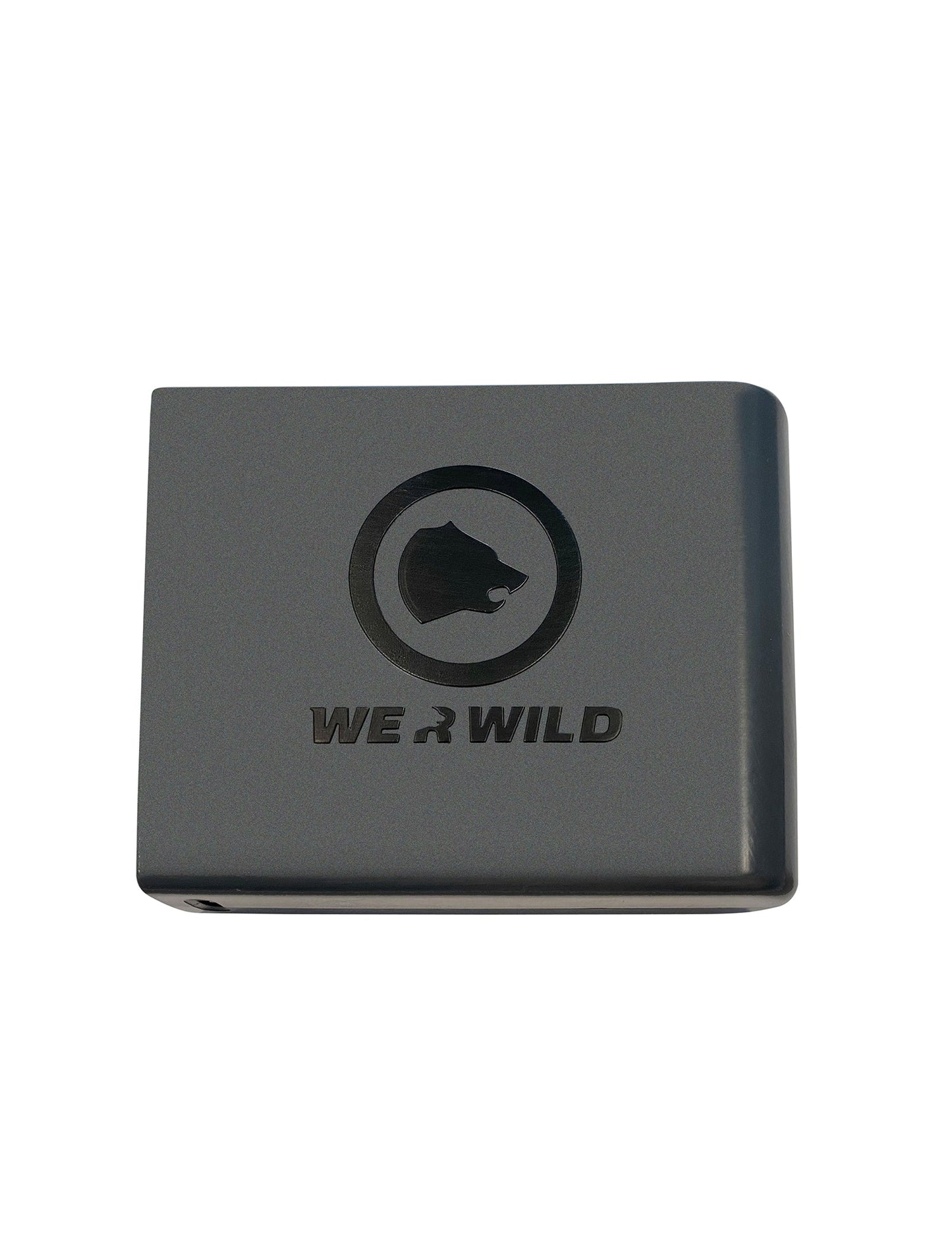 Original Power-Batterie mit zwei USBC-Buchsen